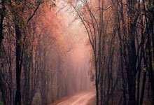 [高尔夫]三菱电机自动化女子赛林芊惠领先 纪钰爱落后1杆.