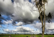 斯卡洛尼：梅西永远都会留在场上 利马身体无恙就能上.