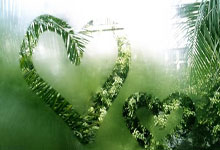 雷速体育：阿邦拉霍评英格兰21世纪最佳阵：双德坐镇中场，贝克汉姆落选.