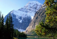 绝杀取胜！巴西2-1哥伦比亚全场数据：射门16-10，射正7-3.