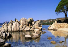 雷速体育：湖人1签1裁：裁掉雷迪什 转正古德温可打季后赛+商讨签两年合同.